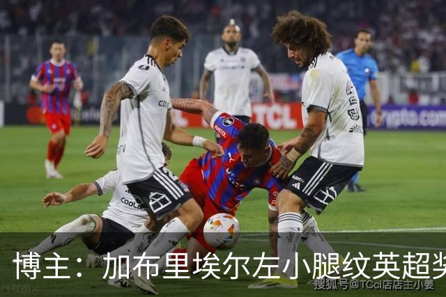 博主：加布里埃尔左小腿纹英超奖杯，他对阿森纳的爱难以置信
